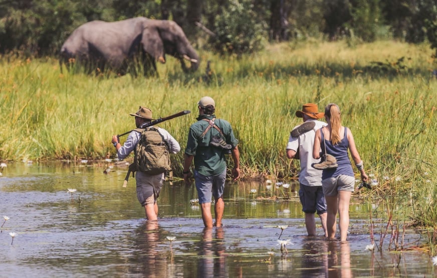 Walking Safaris in Botswana